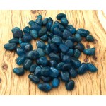 50gms Neon Apatite Small AAA Grade Tumblestone Pack